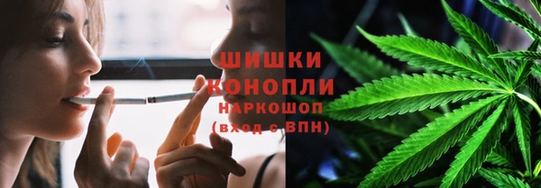 амф Инта