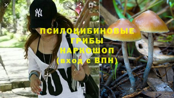 прущие крисы Инсар