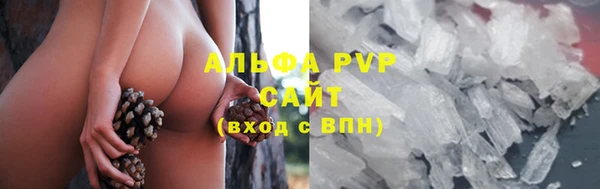 амф Инта