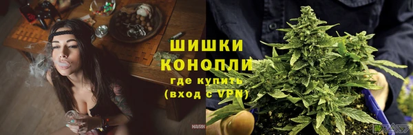 spice Михайлов